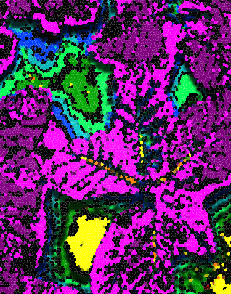 FLIR T1030sc Infrared Camera<br />
Evan Dracup<br />
Carl Bernacchi Laboratory<br />
Funded by the Bill & Melinda Gates Foundation