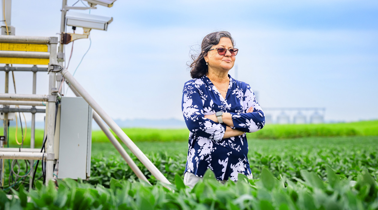 Agricultural and consumer economics professor Madhu Khanna and her colleagues propose policies that would reward farmers for adopting “climate-smart” practices when growing biofuel crops. Photo by Fred Zwicky