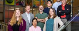 The study team included, back row, from left, graduate student Rebecca Ultrich; chemistry professor Paul Hergenrother; Chris Fields, of the Roy J. Carver Biotechnology Center, research scientist Po-Chao Wen, graduate student Matt Sinclair; and, front row, from left, senior scientist Hyang Yeon Lee; Jessica Holmes, of the Roy J. Carver Biotechnology Center; and biochemistry professor Emad Tajkhorshid. (Study lead author Kristen Muñoz not pictured)