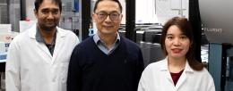 Nilmani Singh, Chemical and Biomolecular Engineering Professor Huimin Zhao, and Yujie Yuan developed the automated platform FAST-NPS to accelerate bioactive natural product discovery. / Isaac Mitchell
