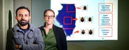 Abrar Hussain, left, Rebecca Smith and their colleagues mapped the distribution of three tick species across the state of Illinois. They compared this distribution to the incidence of tick-borne diseases in the state. Photo by Fred Zwicky