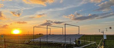 Researchers used the SoyFACE facility at U. of I. to expose soybeans to elevated ozone while excluding rainfall, finding both decreased yield. Photo by Duncan Martin. 