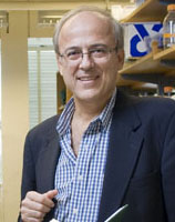 Gregory Stephanopoulos