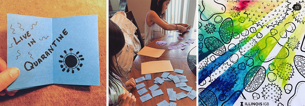 Couchreach activities