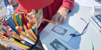 Outreach & Engagement