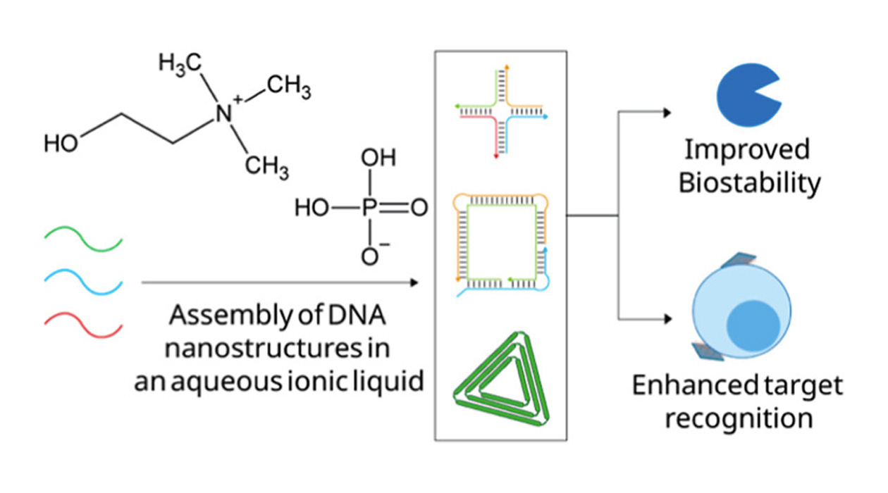 A diagram from the lab's published paper in JACS.