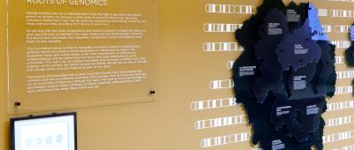 The Roots of Genomics installation highlights moments from the history of the field of genomics, with efforts towards promoting the contributions of historically underserved individuals. 