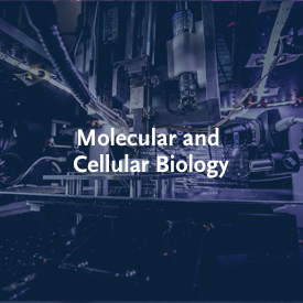 Molecular Biology