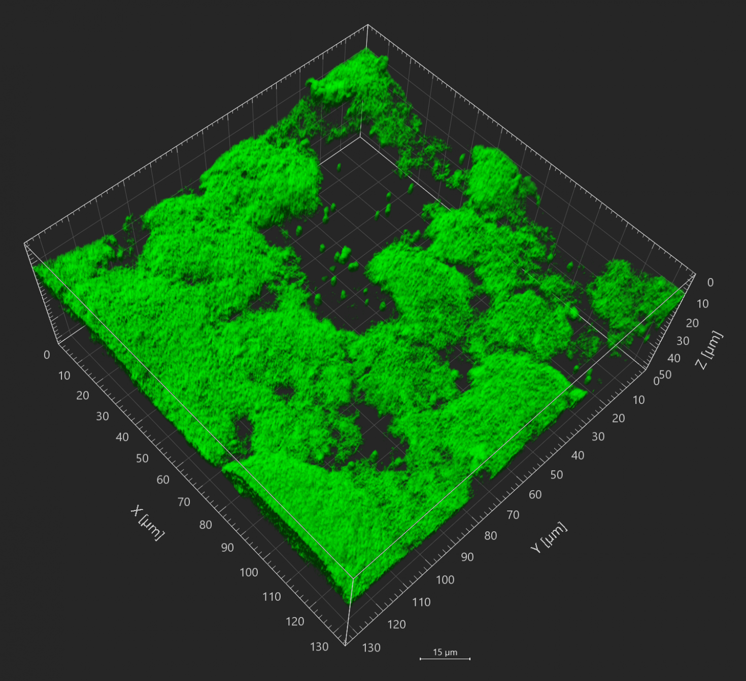3D reconstruction of Salmonella Typhimurium biofilms in presence of differentially charged micro-nanoplastics (MNP).