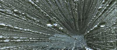 Nature designed equine hooves to resist high impacts. This high-resolution micro-computed tomography image illustrates the tubular canals with intersecting bridges in three dimensions in an equine hoof wall.