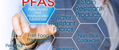 Study reveals how 'forever chemicals' may impact heart health in older women