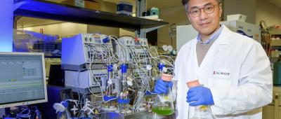 A research team led by food science and human nutrition professor Yong-Su Jin combined the special attributes of E. coli with the photosynthetic capabilities of microalgae to take in carbon dioxide and convert it to useful biological chemicals. Photo by Craig Pessman